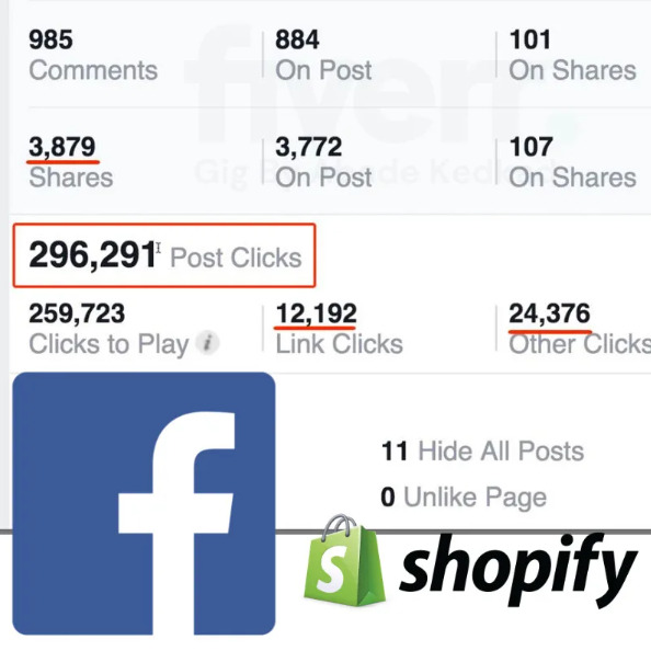 I will manage and optimize your facebook ads for conversion