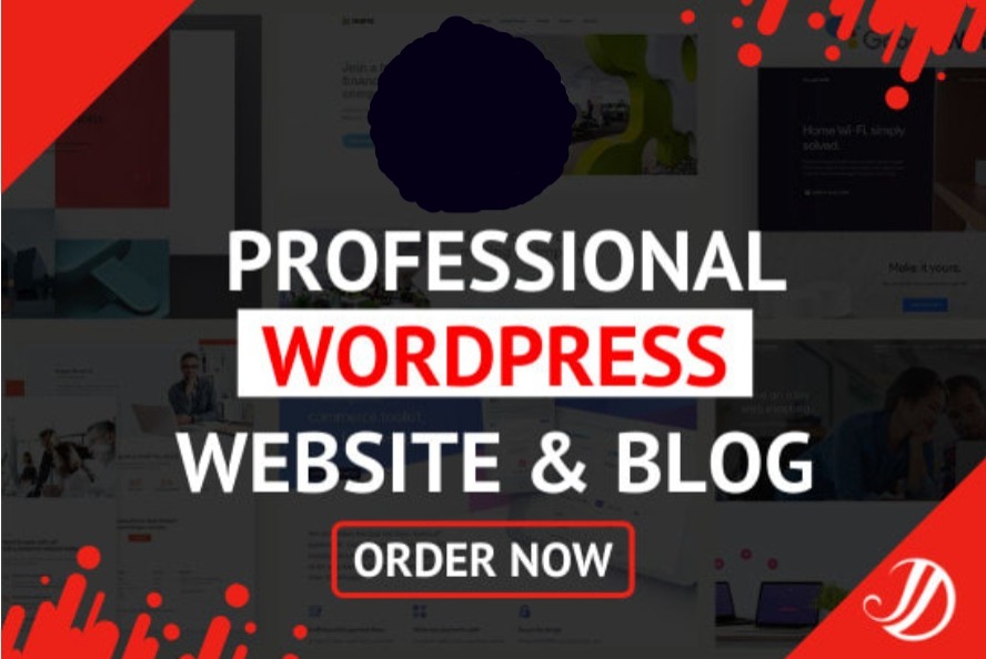 I will build modern professional wordpress website design or blog