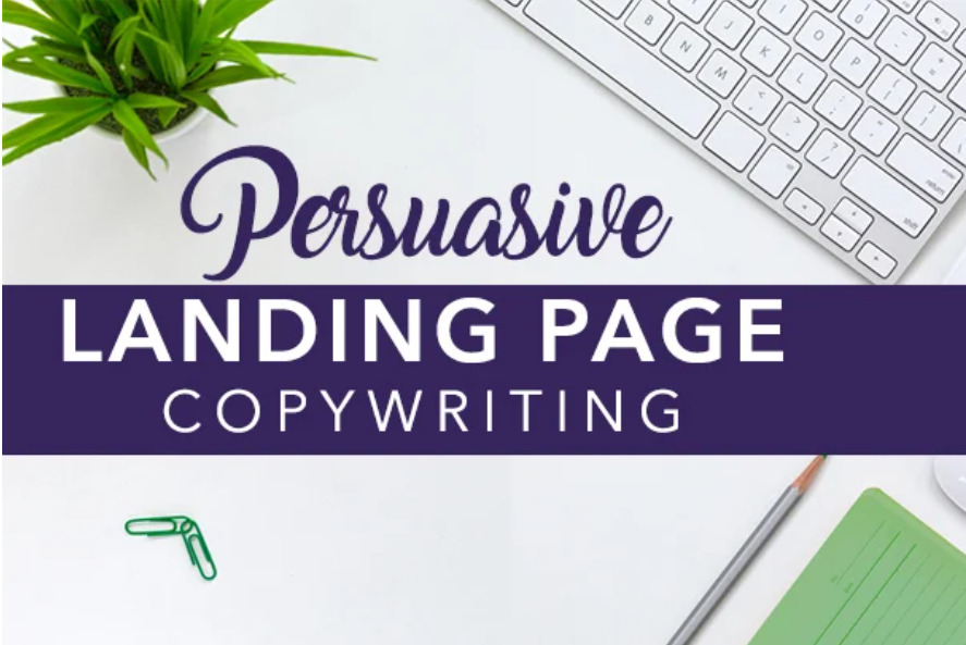 I will write persuasive landing page copy