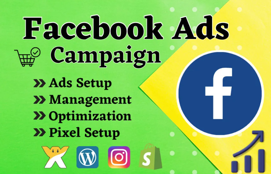 I will be your facebook ads campaign manager