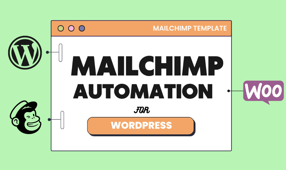 I will setup mailchimp email marketing automation campaign and newsletter for wordpress