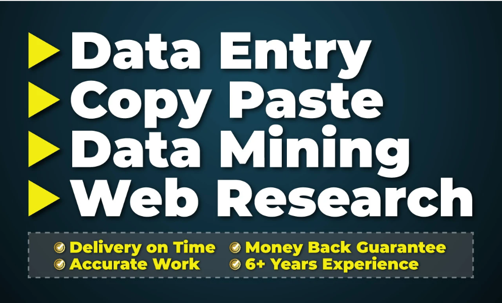 I will do data entry, data mining, internet research and copy paste